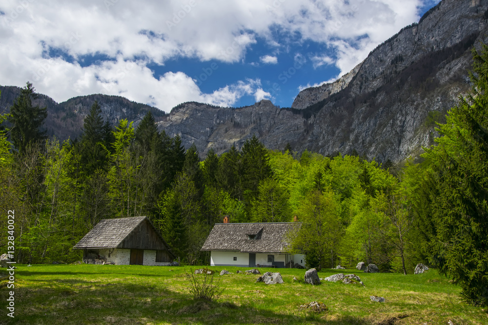 Bohinj valley in Slovenia