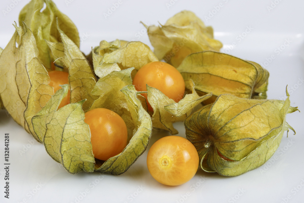 Physalis Physalis
