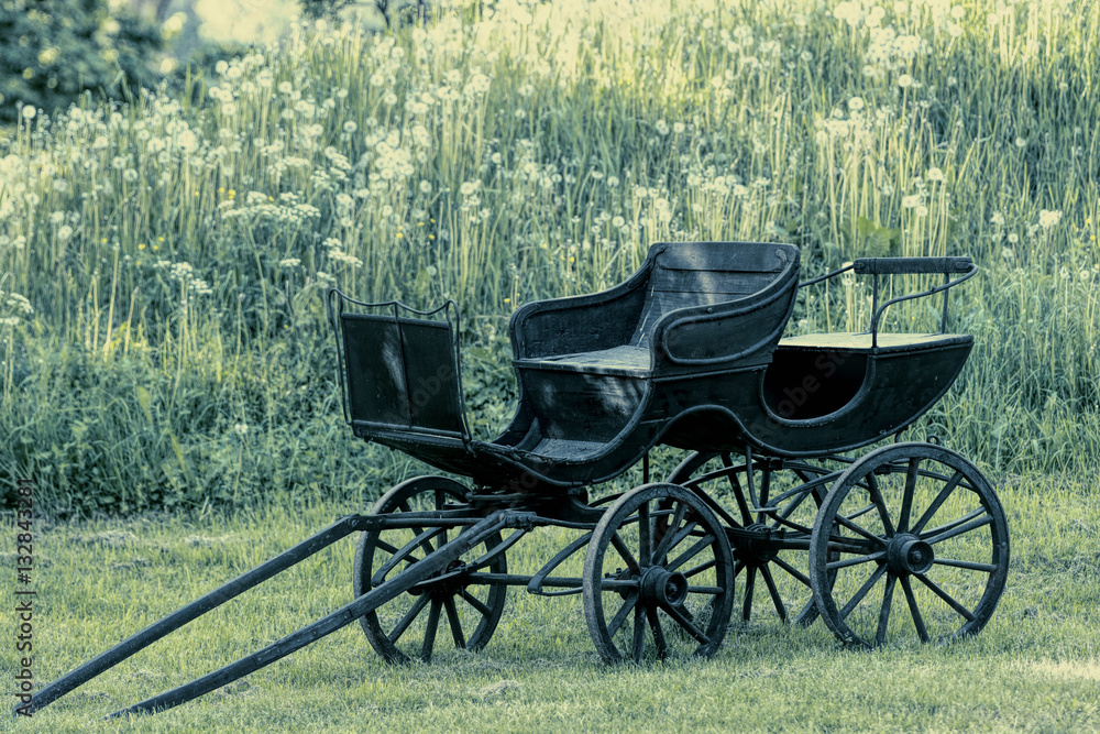 Old black horse carriage with green background