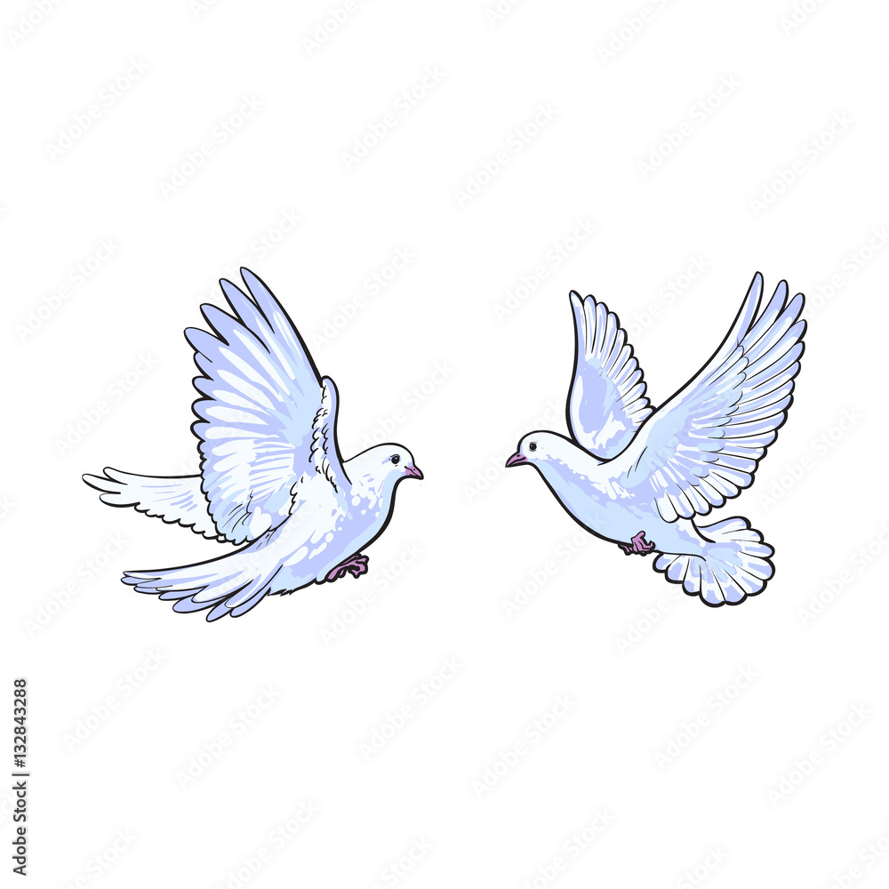 Two free flying white doves, sketch vector illustration isolated on white background. Realistic hand drawn couple of white doves, pigeons flapping wings, symbol of love and romance, marriage icon Two free flying white doves, sketch vector illustration isolated on white background. Realistic hand drawn couple of white doves, pigeons flapping wings, symbol of love and romance, marriage icon