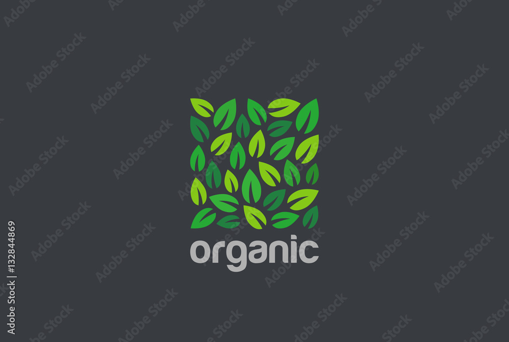 Naklejka premium Liście Eco Logo kwadrat projekt wektor. Organiczny ogród naturalny