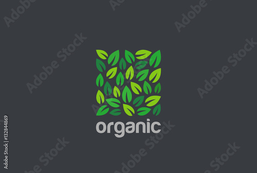 Leaves Eco Logo square design vector. Organic Natural Garden