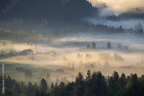 Foggy morning mist over alpine valley