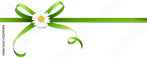 Grüne Schleife mit Margeriten Blüte - Horizontal