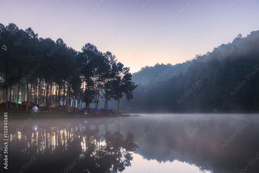 Viewpoint pine forest on foggy reservoir Viewpoint pine forest on foggy reservoir