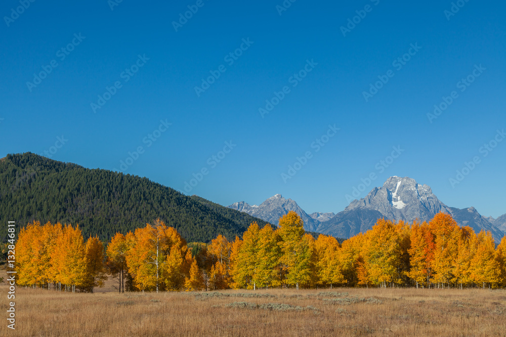 Scenic Fall landscape in Teton National Park