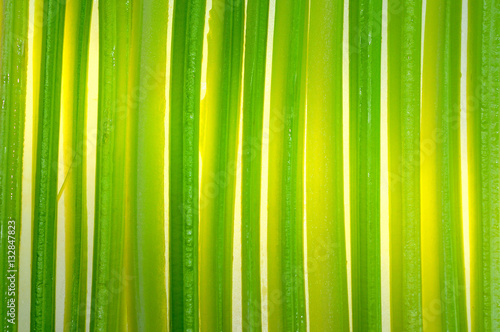 background chopped fresh green celery