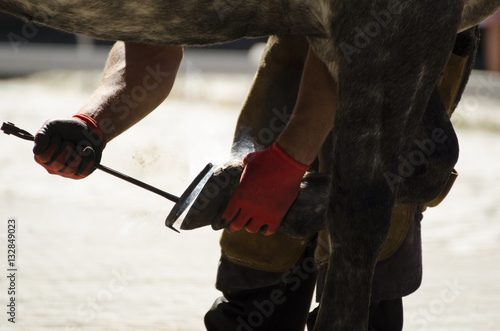 Farrier at work.