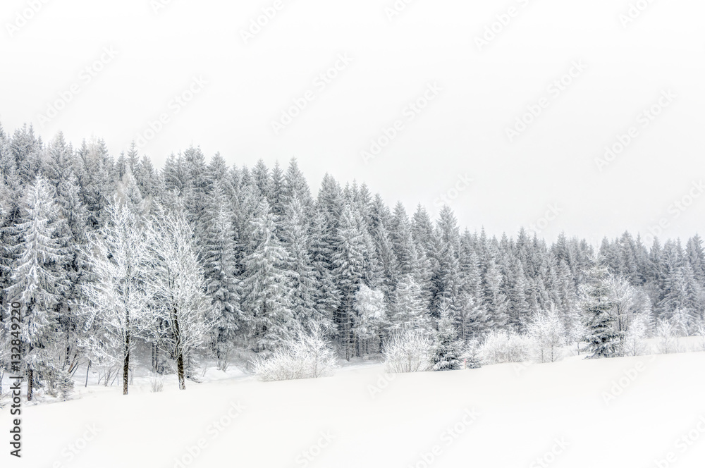 Schnee im Erzgebirge bei Altenberg Schnee im Erzgebirge bei Altenberg