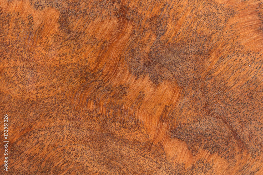 Naklejka premium Wood structure