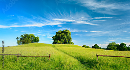 Fototapeta Naklejka Na Ścianę i Meble -  Summer Landscape of Footpath through Green Pasture under beautiful blue sky