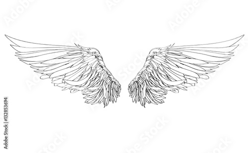 Wings. Vector illustration on white background. Black and white