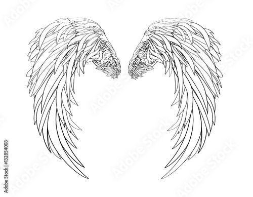 Wings. Vector illustration on white background. Black and white