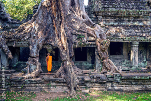 The monks and trees growing out of Ta Prohm temple, Angkor Wat i photo