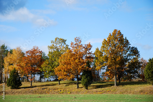 Bright colorful fall view