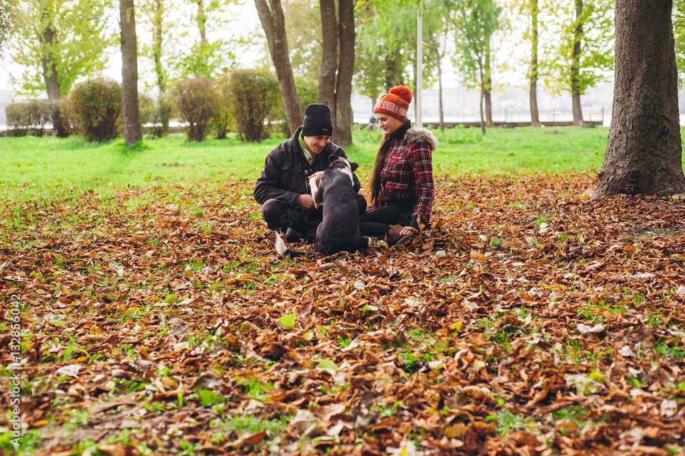 couple walking a dog park couple walking a dog park