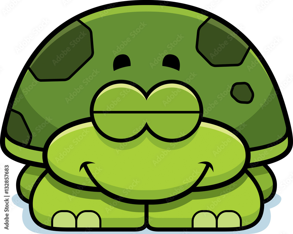 Sleeping Little Turtle Sleeping Little Turtle