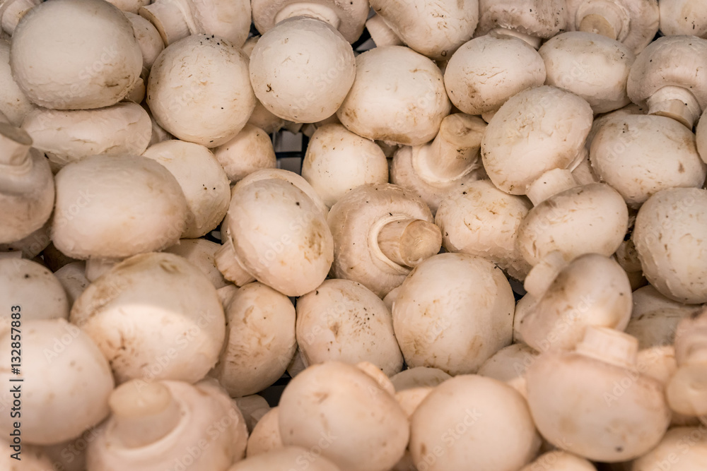 Basket full of fresh white mushrooms found in a food market. Basket full of fresh white mushrooms found in a food market.