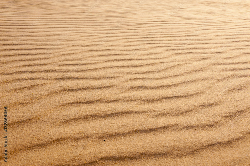 Golden sun lit sand with wind blown ripples pattern texture background Golden sun lit sand with wind blown ripples pattern texture background