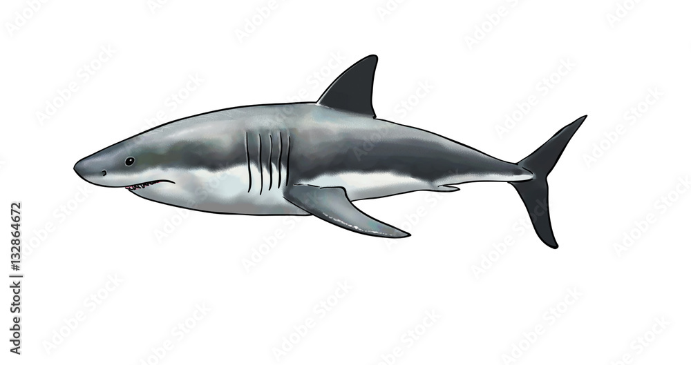 Fototapeta premium Digital watercolor of a white shark