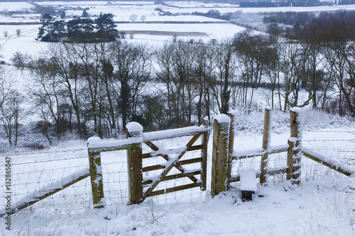 Aldbury Nowers nature reserve in the Chilterns Herts, Bucks borders Winter photo