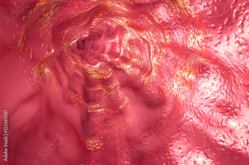 Esophagus mucosa and esophageal sphincter, 3D illustration