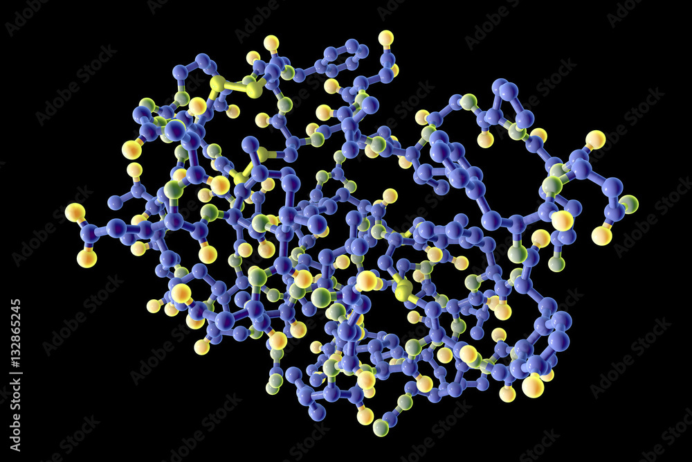 Insulin-like growth factor IGF, molecular model, 3D illustration. IGF is a protein playing important role in aging, cancer and diabetes Insulin-like growth factor IGF, molecular model, 3D illustration. IGF is a protein playing important role in aging, cancer and diabetes