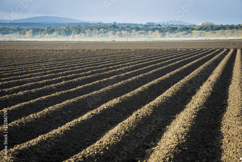 Rich pure dirt soil ready for planting farm field rows plowed and tilled