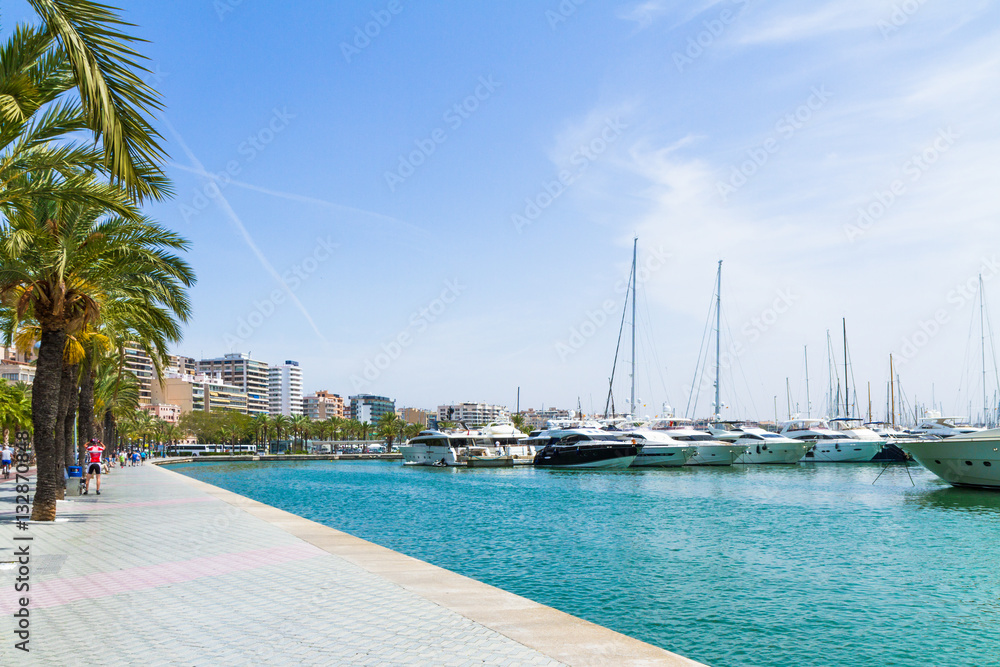 Palma de Mallorca Carrer Del Moll marina skyline with yachts