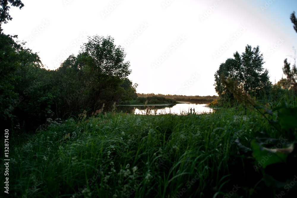Obraz premium background of bright green grass