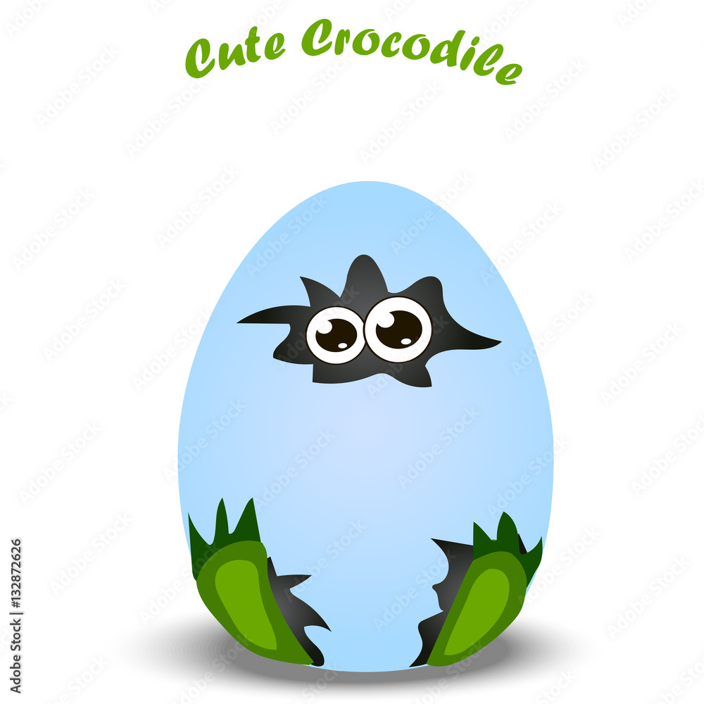 baby crocodile or alligator baby crocodile or alligator