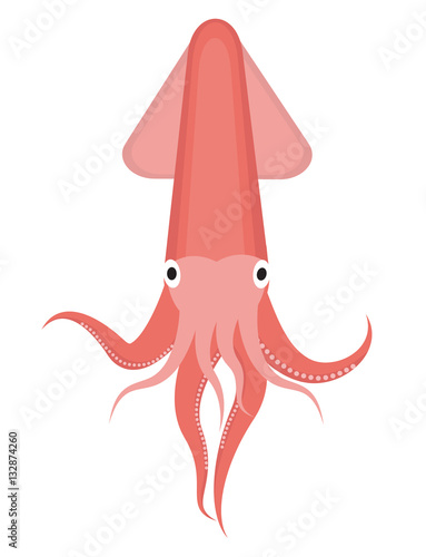 Squid icon logo element. Flat style, isolated on white background. Vector illustration, clip art