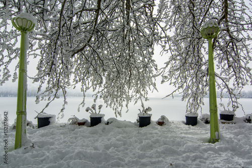 snow landscape
 photo