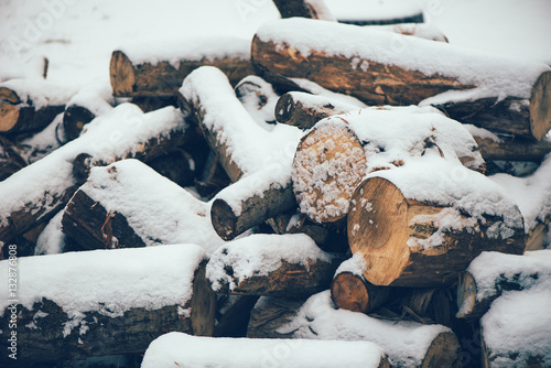 Pile of wood logs under snow