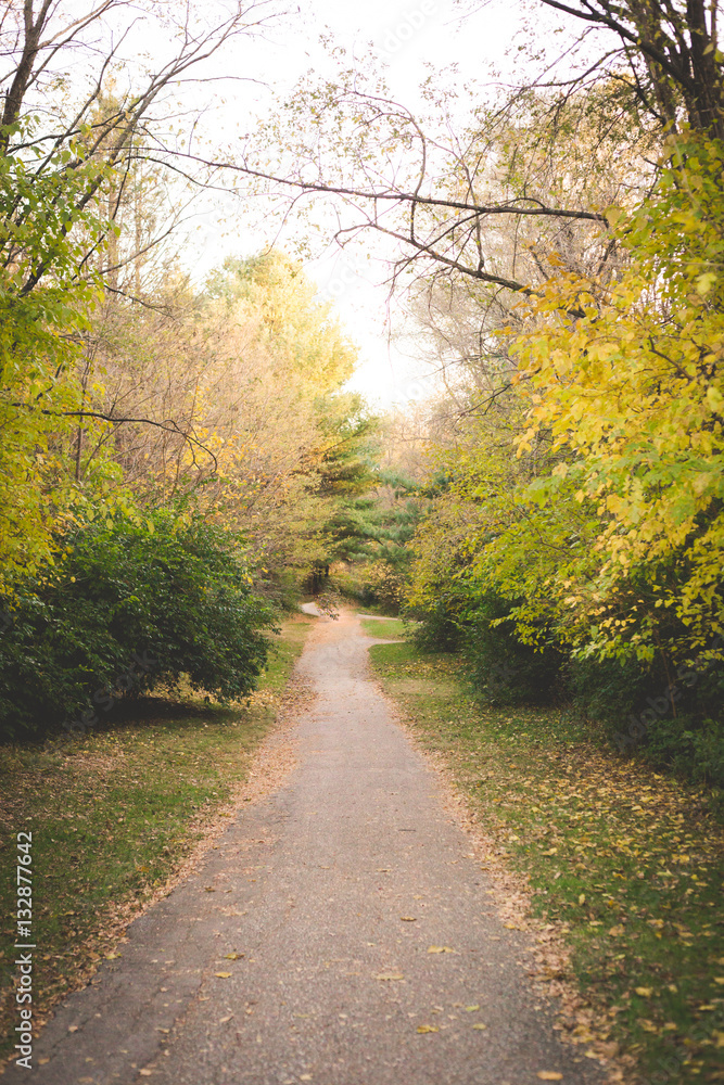 Fall Pathway