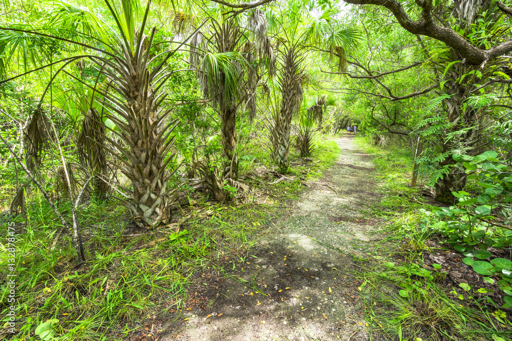 Obraz premium Palmengarten