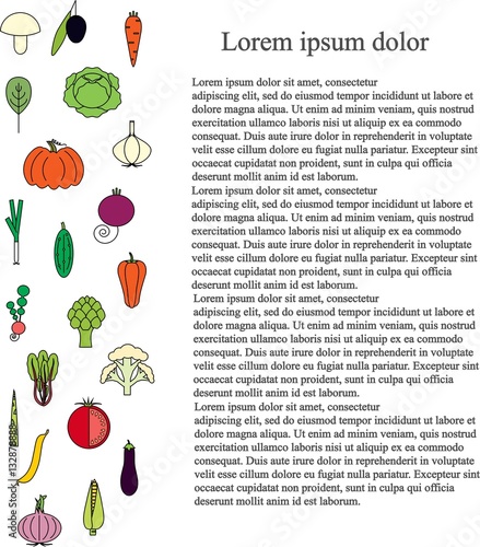 Colorful longitudinal vegetable background, black Lorem ipsum, stock vector illustration photo