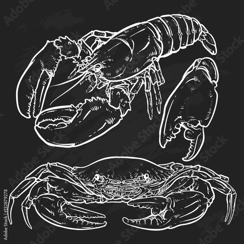 Lobster with claws on a black background. Seafood. Crab with cla