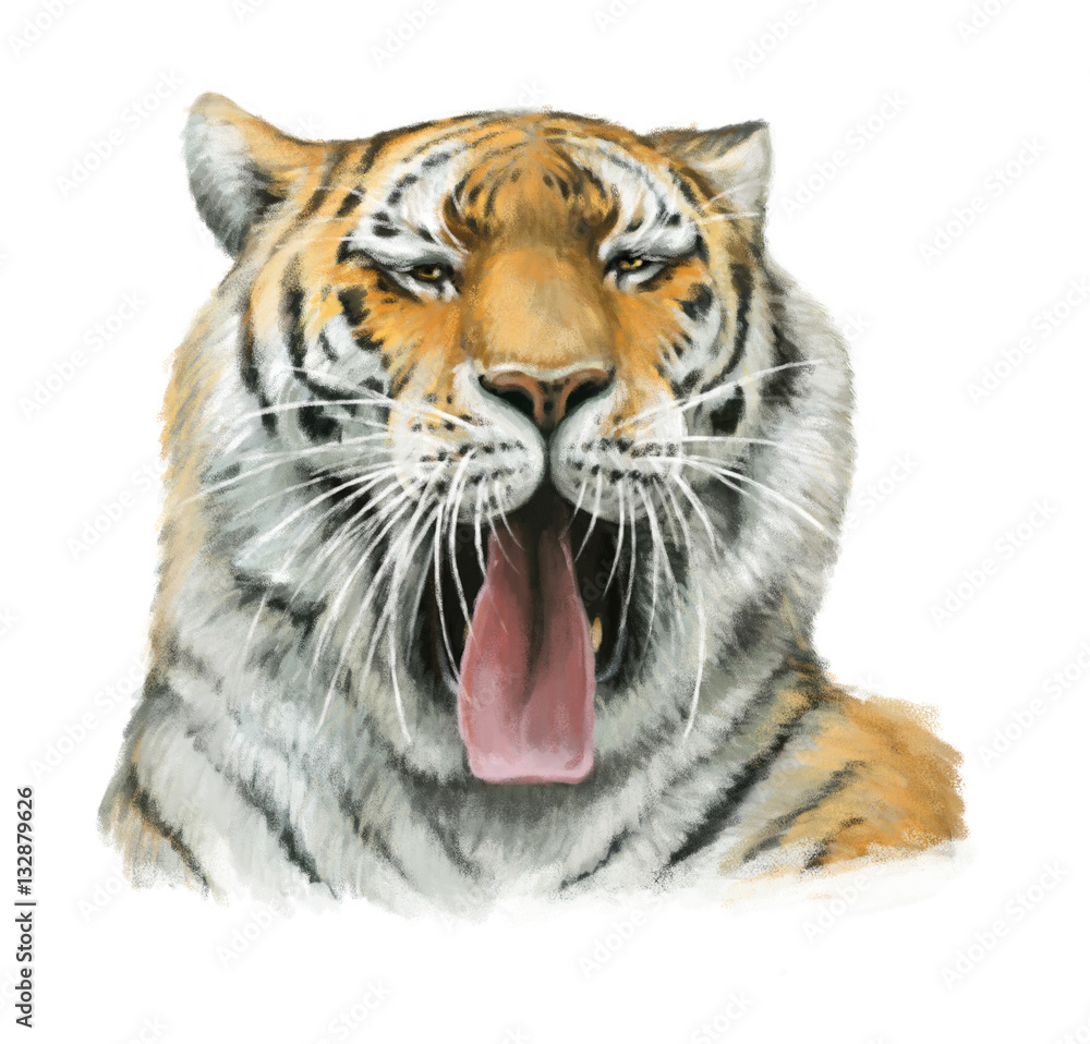 Obraz premium Cartoon tiger - head - illustration for children
