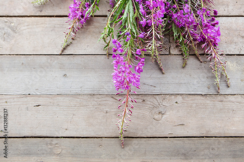 fireweed on wood photo