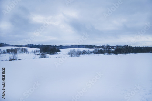 Snow-covered fields and hills, forest and village in the background, a gray-blue cloudy sky