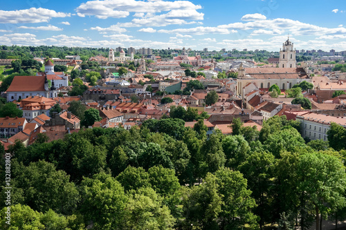 Aerial view of town. Green trees and buildings. Landmarks and historic districts.