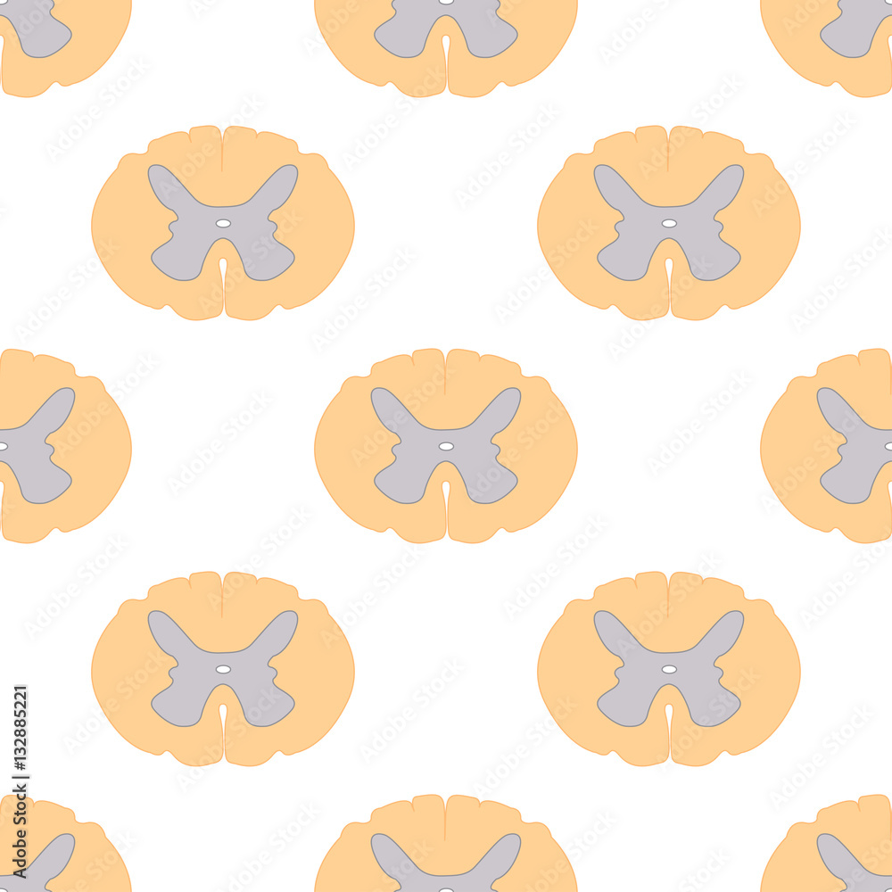 seamless pattern of spinal cord sections and neurons, scientific background seamless pattern of spinal cord sections and neurons, scientific background
