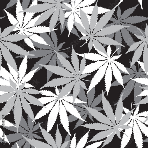 Cannabis or Marijuana leaf seamless pattern in vector format.
