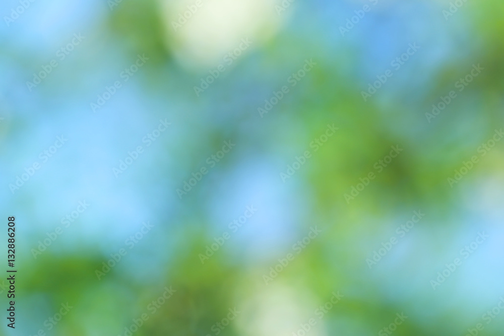 Obraz premium Abstract green nature background, bokeh