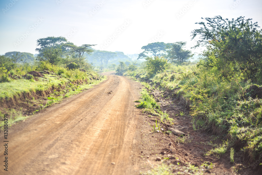 African landscape - dirt road through savanna, Kenya