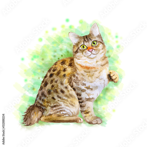 Watercolor portrait of American Bobtail short tail cat isolated on green background. Hand drawn sweet home pet. Bright color, realistic look. Emerald eyes. Greeting card design. Clip art. Add text