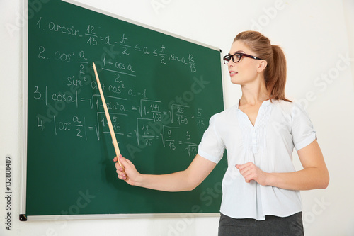 Young teacher with pointer ...