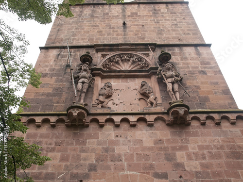Picture  from Heidelberg Castle in Germany