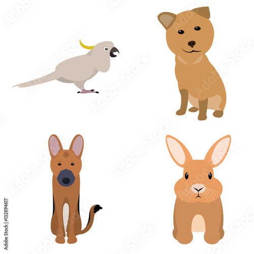 Set of animals